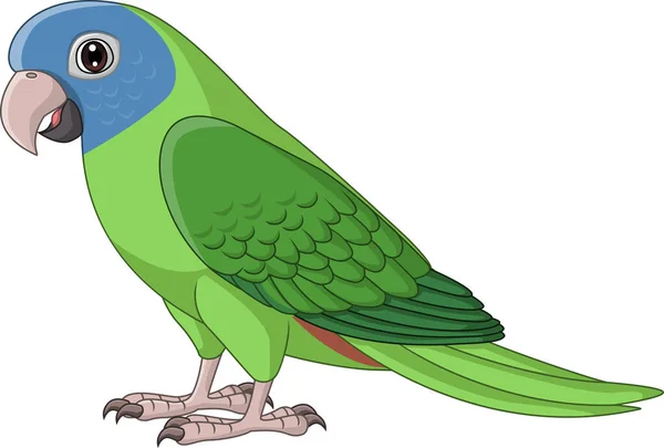 Wektor Ilustracja Kreskówki Blue Crown Conure Papuga — Wektor stockowy