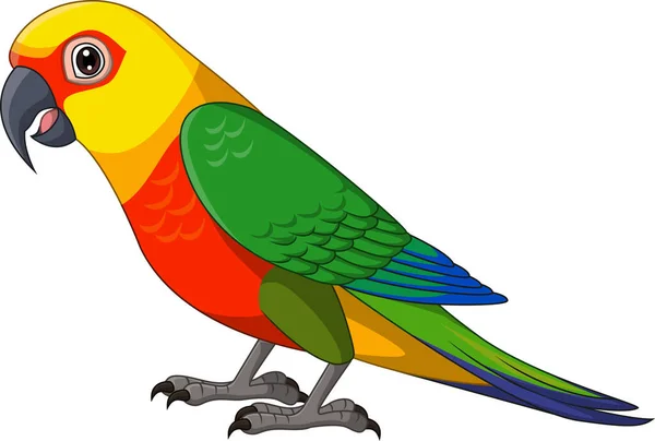Vektor Illustration Tecknad Conure Jenday Parakeet Vit Bakgrund — Stock vektor