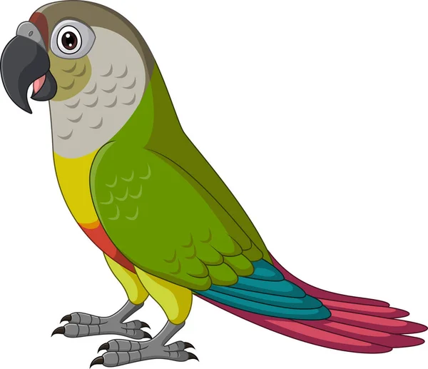 카툰그린 Cheeked Parrot White Background — 스톡 벡터