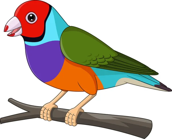 Illustration Vectorielle Bande Dessinée Gouldian Finch Bird Sur Branche Arbre — Image vectorielle