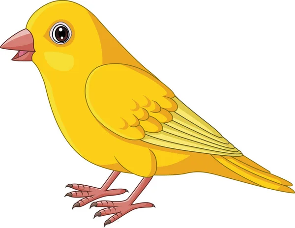 Illustrazione Vettoriale Del Fumetto Giallo Uccello Canarino Sfondo Bianco — Vettoriale Stock