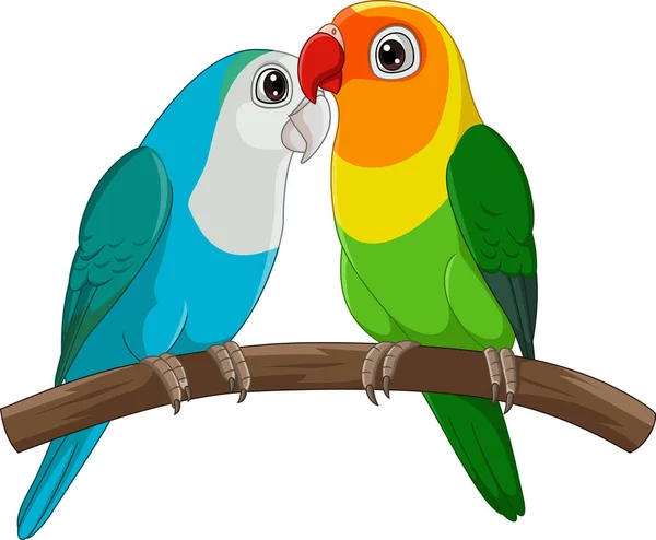Vector Illustration Cartoon Couple Lovebird Parrot White Background — Stock Vector