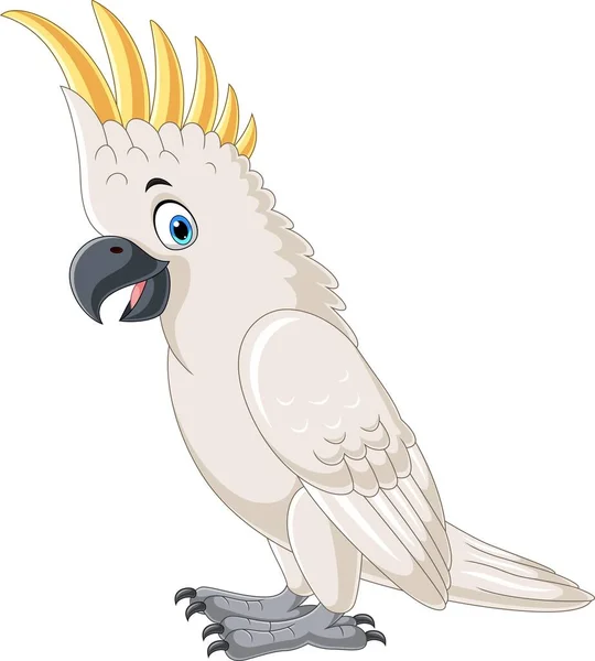 Illustrazione Vettoriale Cartoon White Cockatoo Sfondo Bianco — Vettoriale Stock
