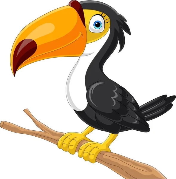 Vektorová Ilustrace Kresleného Toukanového Ptáka Větvi Stromu — Stockový vektor