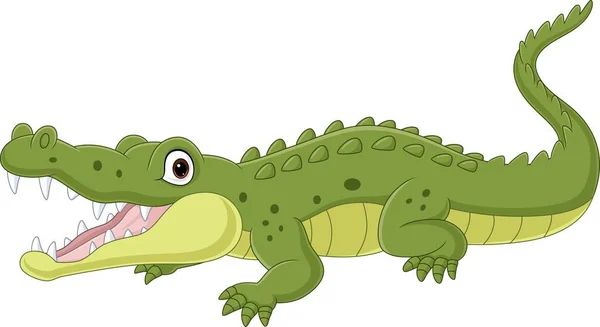 Vector Illustration Cartoon Crocodile Isolated White Background — Stock Vector
