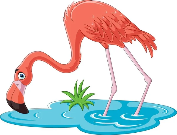 Beyaz arkaplanda çizgi film flamingosunun vektör illüstrasyonu