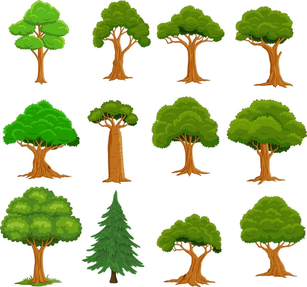 Vector Illustration Set Cartoon Trees White Background — Archivo Imágenes Vectoriales
