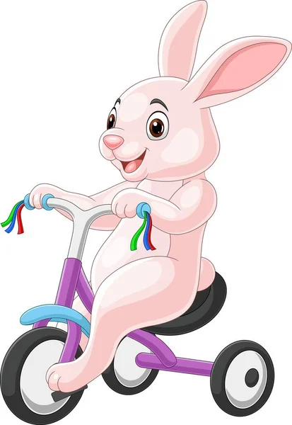 可爱兔子卡通片骑自行车的图例 — 图库矢量图片