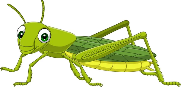 Vector Illustration Cartoon Grasshopper White Background — Stock Vector