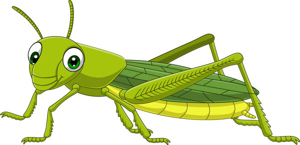Vector illustration of Cartoon grasshopper on white background