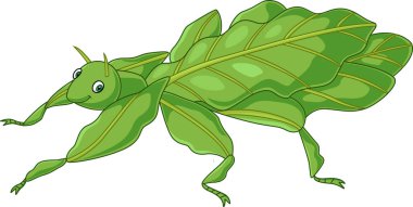 Vector illustration of Cute leaf insect on white background clipart