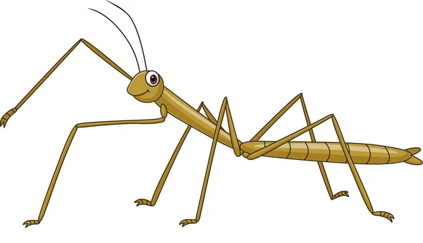 Vektor Illustration Von Cartoon Stick Insekt Auf Weißem Hintergrund — Stockvektor