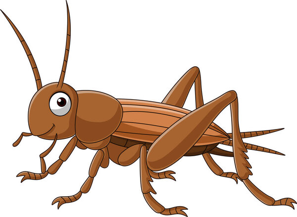 Vector illustration of Cartoon grasshopper on white background