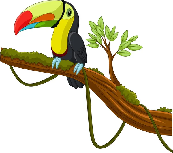 Wektor Ilustracji Cartoon Toucan Ptaka Gałęzi Drzewa — Wektor stockowy