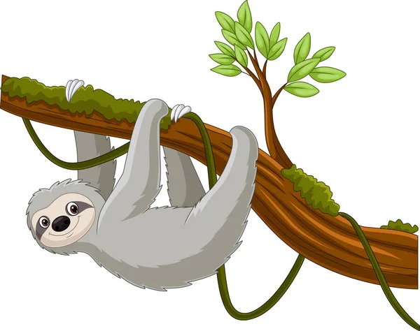 Vector Illustration Cartoon Sloth Hanging Tree Branch — Stock Vector