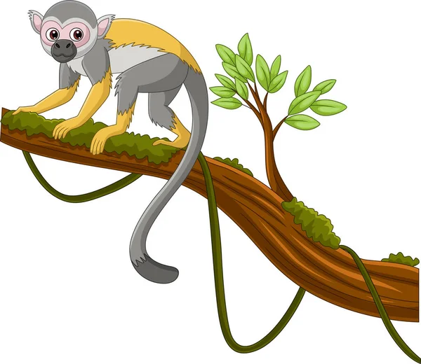 Vector Illustration Cute Capuchin Monkey Tree Branch — Stock Vector