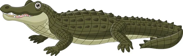 Ilustração Vetorial Crocodilo Dos Desenhos Animados Isolado Sobre Fundo Branco — Vetor de Stock