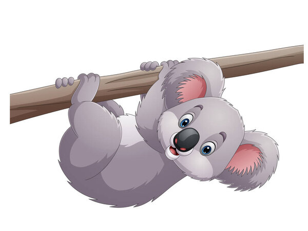 Vector illustration of Cartoon koala on a tree branch