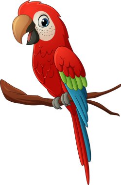  Vektör çizim karikatür kırmızı papağan dal 