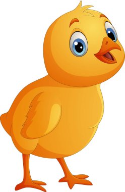 Beyaz arka planda izole edilmiş komik küçük piliç.