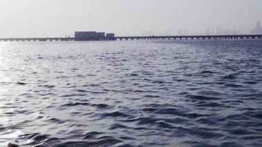 Turist teknelerinde insanlar denizdeki martıları besliyor. Martılar ellerinden gagalarıyla aperatifleri yakalıyor ve yemek için uçup gidiyorlar..