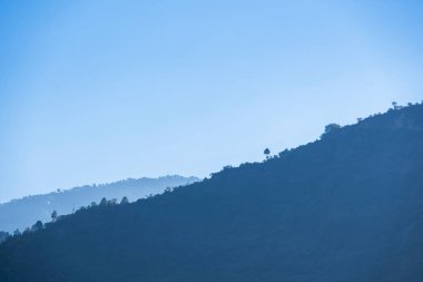 Üst sırtı süsleyen ağaçlarla kaplı mavi dağlar manzaranın üzerinde kule gibi. Yamaçlar çarpıcı bir görsel yaratıyor, doğanın ihtişamını gözler önüne seriyor.