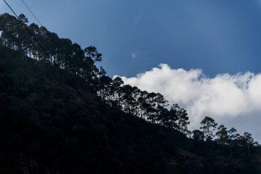 Dağın yamacındaki ağaçlar ve bitkiler çeşitli bulutlar ve mavi gökyüzü ile tamamlanır. Bu canlı manzara keşfi davet ediyor..