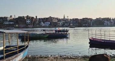 Mathura, Hindistan - 18 Mayıs 2025: Mathura Yamuna Nehri Ghat 'de yerel halk günlük aktivitelere katılıyor, nehirde kayıklar ve kayıklar ve yakınlarda sığırlar otlanıyor.