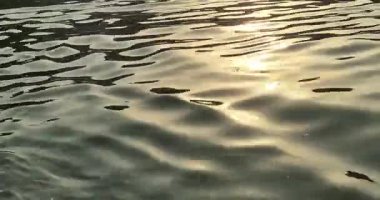 Mathura, Hindistan - 18 Mayıs 2025: Mathura Yamuna Nehri Ghat sakinlerinin günlük yaşamı zengin kültür ve toplum etkileşimlerini gözler önüne seriyor.