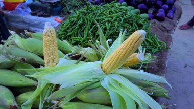 Taze soyulmuş sarı mısırlar satışta. Tatlılıklarını ve kalitelerini vurgulayarak..