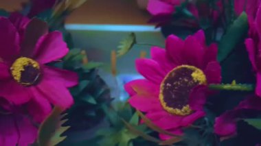 Kırmızı yapay çiçekler sergileniyor, kamera canlı görüntülerini göstermek için sağdan sola dönüyor..