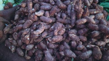 Bir taro kökü yığını, veya arbi, görüntüleme çekiminde gösterilir, erişilebilirliğini gösterir.