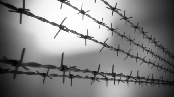 尖锐的铁丝网围栏散布在具有潜在危险的地区或有特别监测义务的地点周围 对囚犯可能私奔的额外保护 很容易上当Hd — 图库视频影像
