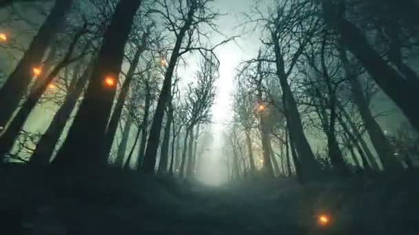 Płynna Animacja Pętli Świecących Świetlików Alejce Leśnej Podczas Zimy Zimna — Wideo stockowe
