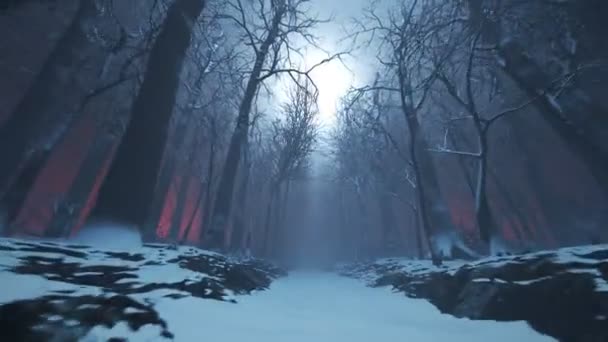 Senza Soluzione Continuità Loop Animazione Foresta Parco Vicolo Durante Inverno — Video Stock