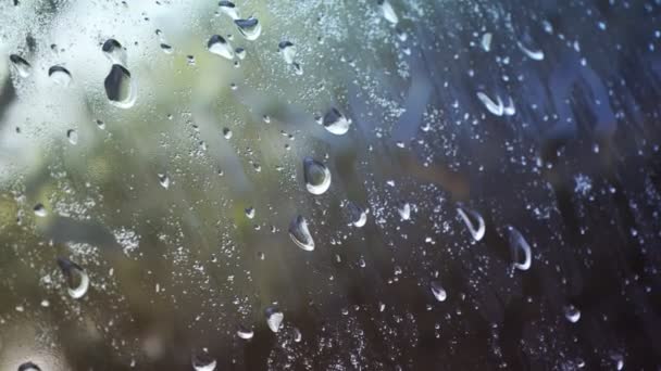 Loop Infinito Sem Costura Uma Janela Cheia Gotas Água Condensação — Vídeo de Stock