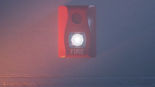 Zvukový Stroboskopický Červený Požární Poplach Připevněný Zdi Jako Součást Požárního — Stock video