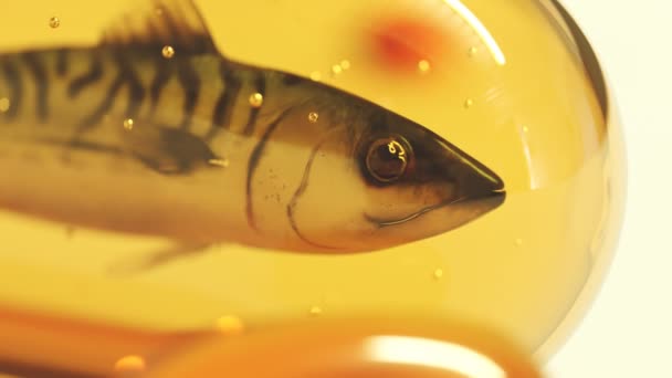 Caballa Encapsulada Comprimido Grande Gel Amarillo Omega Vitamina Aceite Pescado — Vídeo de stock