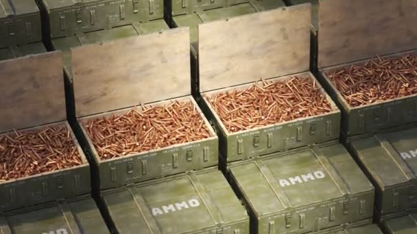 Endless Animation Showing Opened Wooden Military Boxes Filled Rifle Ammunition — Stock Video