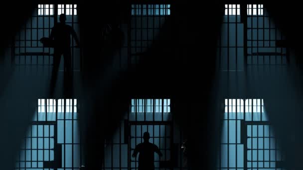 Animation Mit Reihen Dunkler Gefängniszellen Für Eine Person Erwachsene Kriminelle — Stockvideo