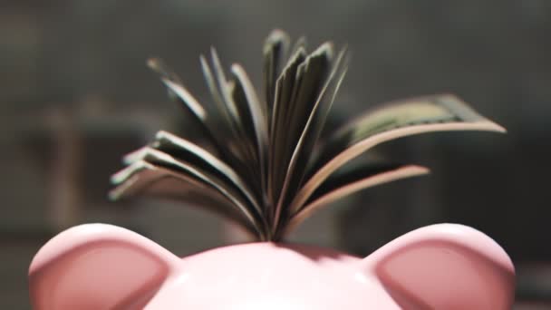 Χαριτωμένο Ροζ Πορσελάνη Κουμπαρά Γεμιστό Τεράστια Χρηματικά Ποσά Πλούσιο Παχύσαρκο — Αρχείο Βίντεο