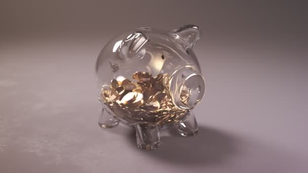 かわいいガラスの豚バンクが大量のコインを詰め込んだ 速いお金は内部で成長する マネーボックスはグローブとボールで設定された野球に変化しています 夢のシンボルが実現する — ストック動画