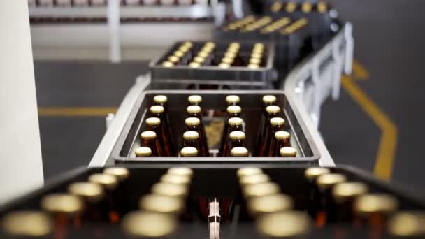 Cajas Plástico Llenas Botellas Cerveza Recién Hechas Una Tubería Fábrica — Vídeos de Stock