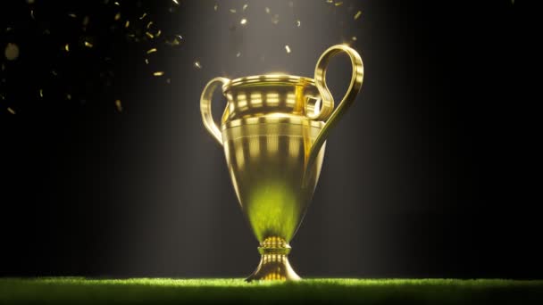 Zbliżenie Złotego Trofeum Mistrza Umieszczone Trawie Tle Stadionu Błyszcząca Nagroda — Wideo stockowe