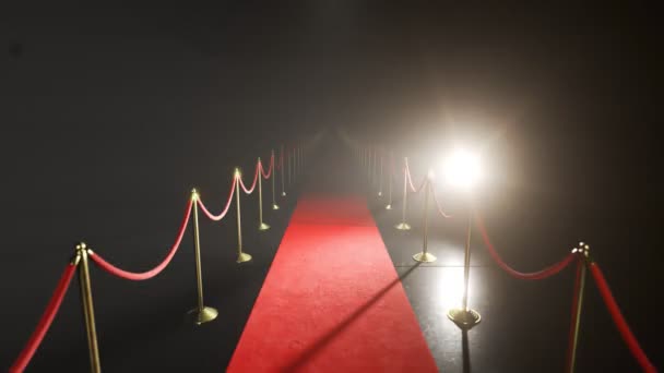 用红地毯把动画圈起来 被手电筒照亮了由记者和新闻摄影师为名人 超级明星和模特 拍照的节日或仪式 — 图库视频影像