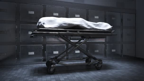 Kameran Visar Den Döda Kroppen Täckt Med Vit Trasa Bårhuset — Stockvideo