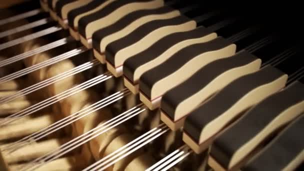 피아노 메커니즘에서 악기가 어떻게 작동하는지에 그것이 그랜드 피아노 내부에서 일어나는 — 비디오