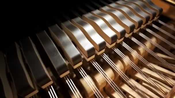 Piyano Ahşap Mekanizmasının Yan Görüntüsü Aletin Nasıl Çalıştığını Açıkla Piyano — Stok video