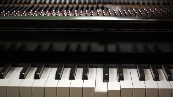 Κινούμενα Σχέδια Που Δείχνουν Μεγάλο Πιάνο Παίζει Κλειδιά Ωθούνται Προκαλώντας — Αρχείο Βίντεο