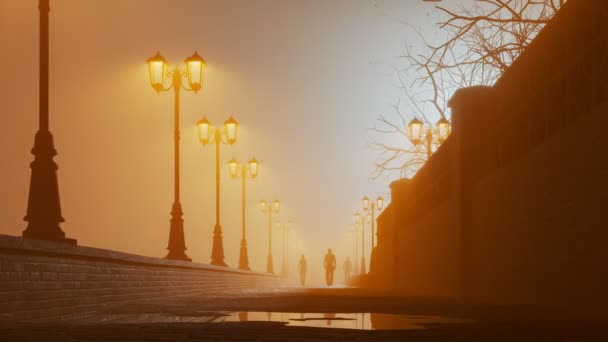 有经典灯笼的鹅卵石小巷 多雾的夜晚动画 雨季有温暖的灯笼灯 在浓雾中消失的人的轮廓 — 图库视频影像